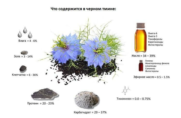 Что содержится в черном тмине?